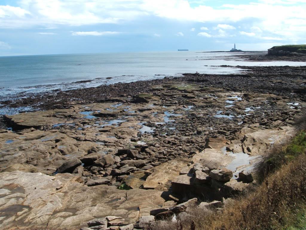 Lighthouse Guest House Whitley Bay Εξωτερικό φωτογραφία